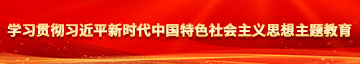 草逼C0m学习贯彻习近平新时代中国特色社会主义思想主题教育